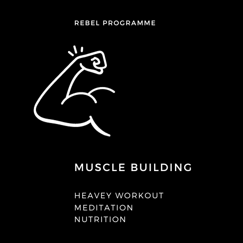 "Revolutionise Your Health: The Rebel Program"